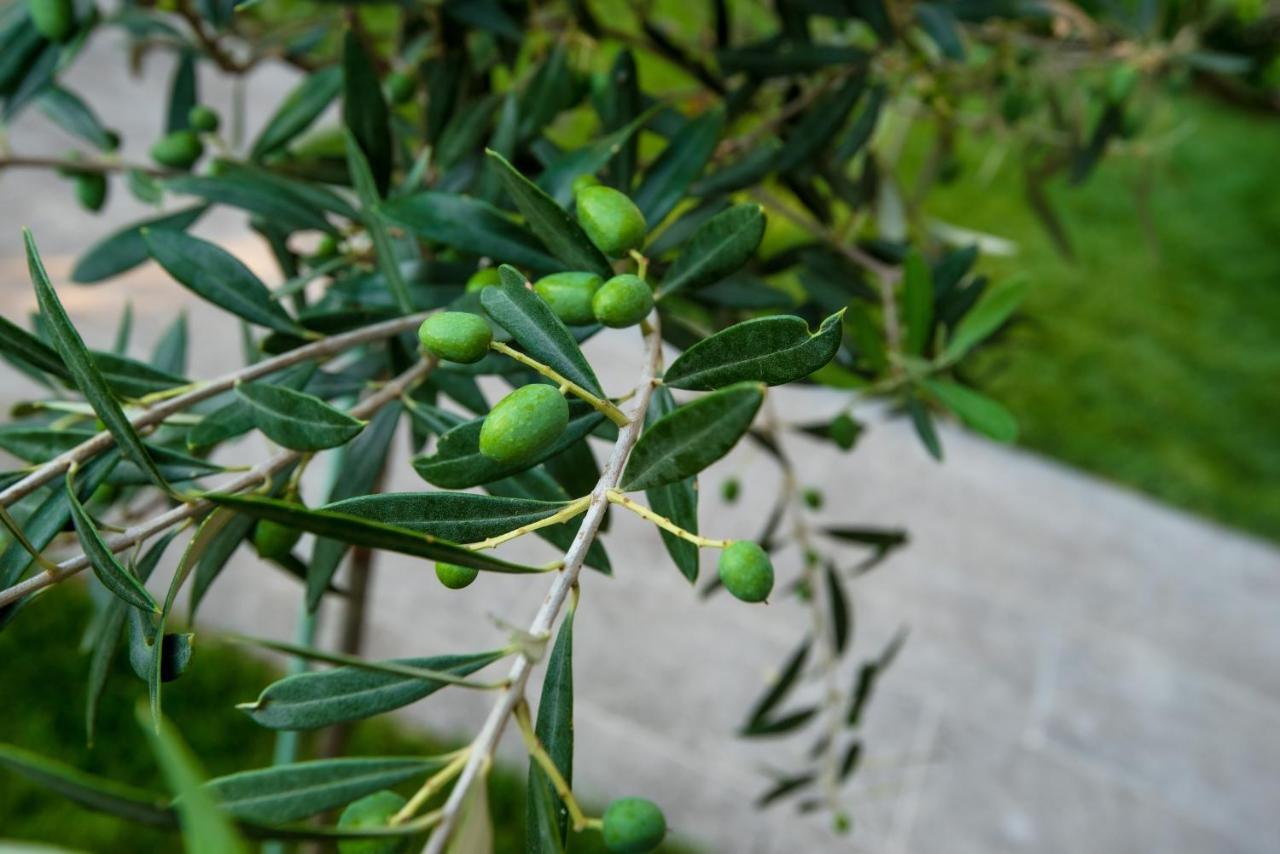 Apartmán Olive 301 Peraía Exteriér fotografie