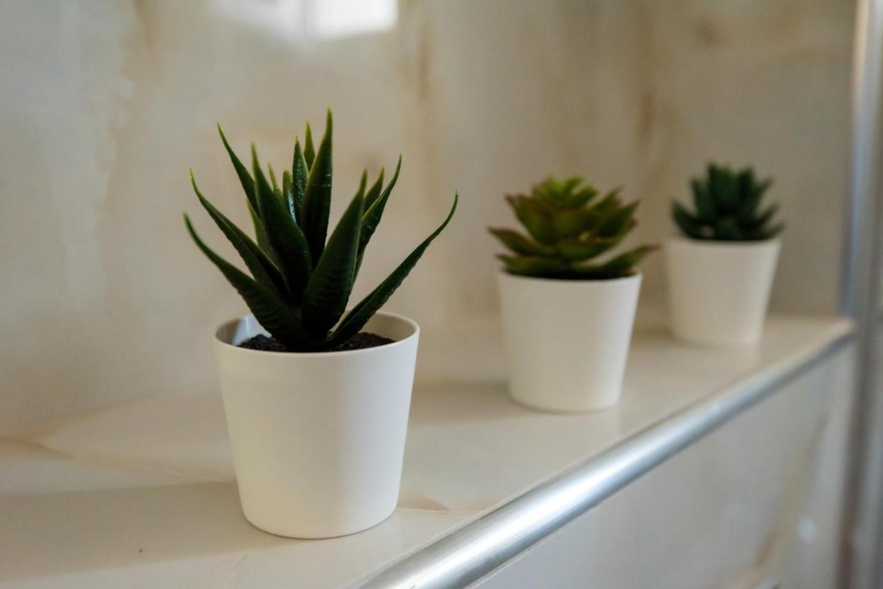 Apartmán Olive 301 Peraía Exteriér fotografie